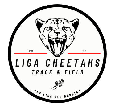 Circle Liga Cheetahs Logo (1)
